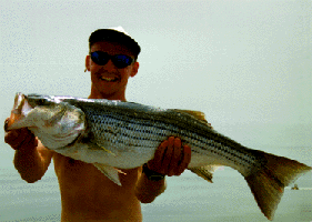 [photo, Man holding rockfish]