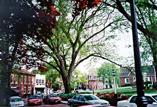 [photo, State Circle, Annapolis, Maryland]