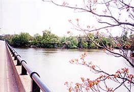 [photo, College Creek (view from Rowe Blvd.), Annapolis, Maryland]